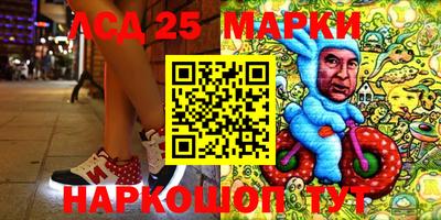 стафф Кандалакша