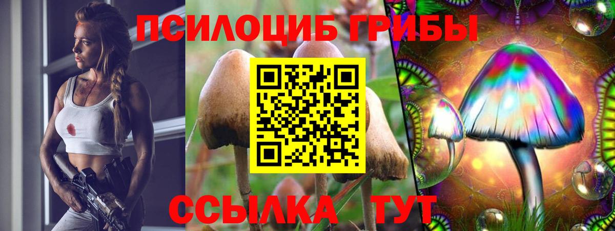 Галлюциногенные грибы прущие грибы  Вход с VPN  Чехов  Псилоцибиновые грибы ЛСД 